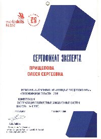 Сертификат эксперта чемпионата World skills Russia
